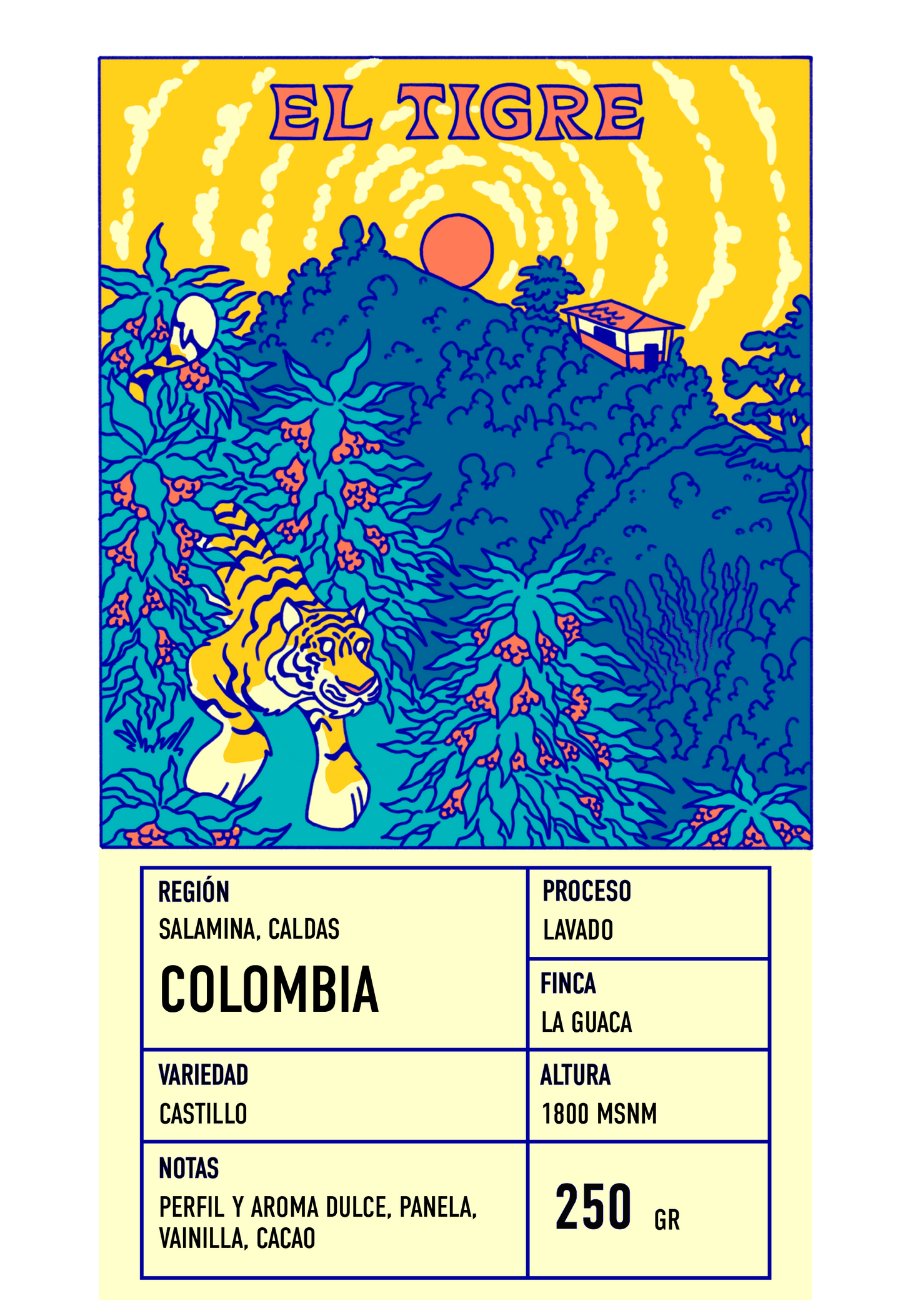 Café El Tigre - Clásico - Peaberry/Caracoli